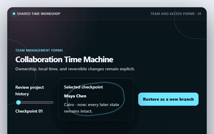 Preview of Collaboration Time Machine · Team and access forms